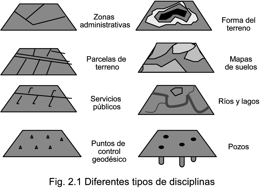 Diferentes tipos de disciplinas